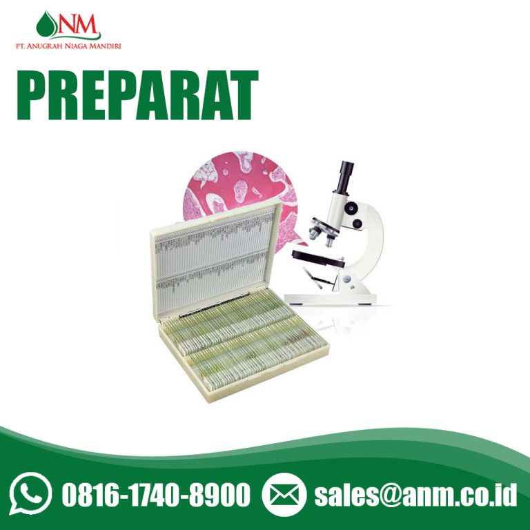 PREPARAT DISPLAY