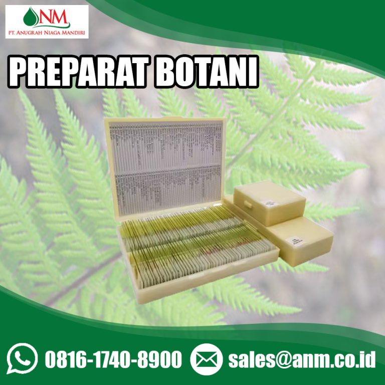 Preparat Biologi 2