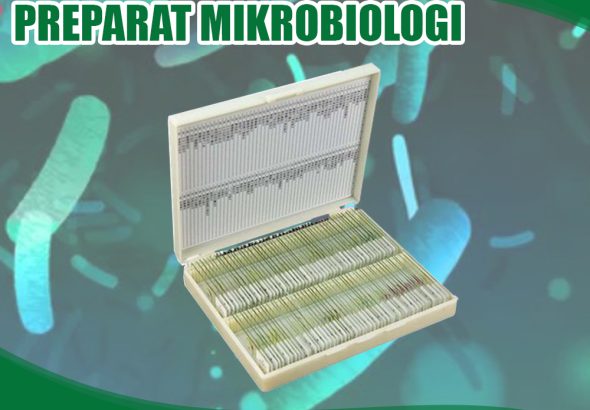 preparat mikrobiologi display