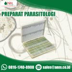 preparat parsitologi