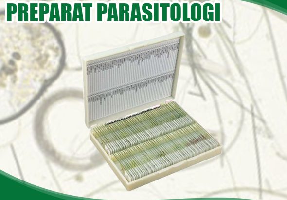 preparat parsitologi