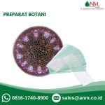 Preparat Botani