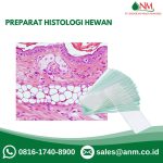 Preparat Histologi Hewan