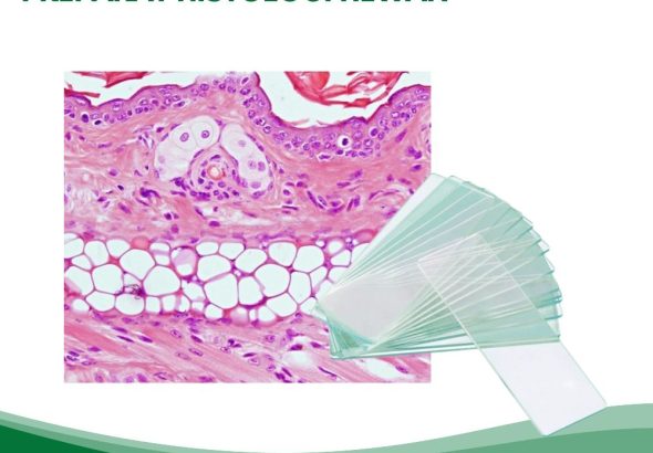 Preparat Histologi Hewan