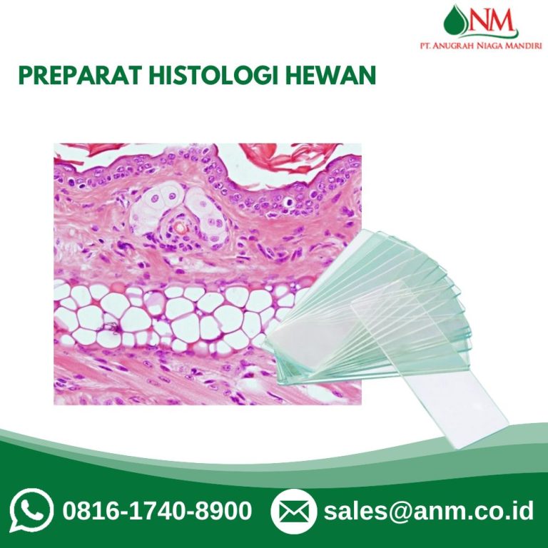 Preparat Histologi Hewan