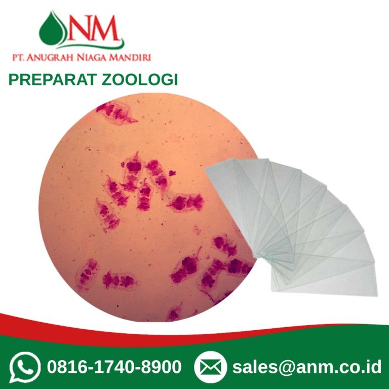Preparat Zoologi PT. Anugrah Niaga Mandiri