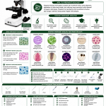 Preparat Biologi Penjelasan Mendalam