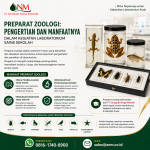 Preparat Zoologi Manfaatnya dalam Kegiatan Laboratorium Sains Sekolah