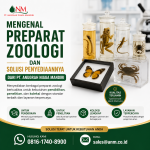 Preparat Zoologi dan Solusi dari PT. Anugrah Niaga Mandiri